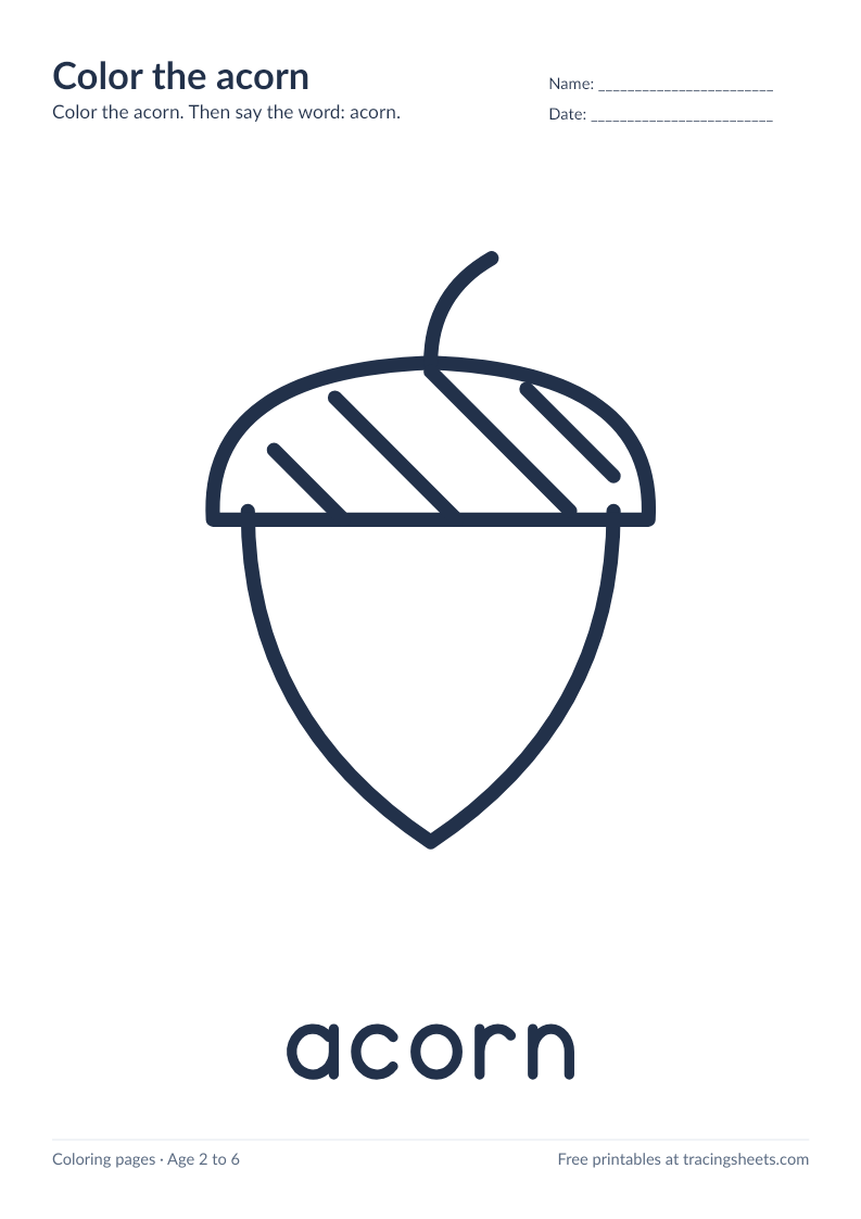 Preview of the printable color the acorn worksheet