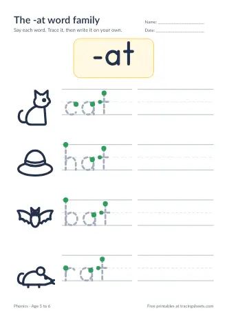 Preview of the the -at word family worksheet