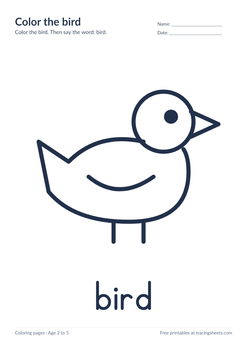 Preview of the printable color the bird worksheet