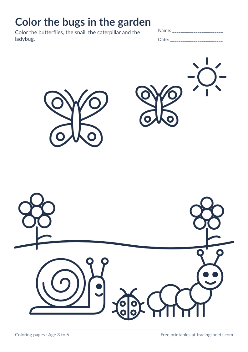 Preview of the printable color the bugs in the garden worksheet