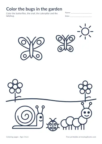 Preview of the color the bugs in the garden worksheet