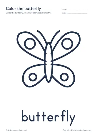 Preview of the color the butterfly worksheet