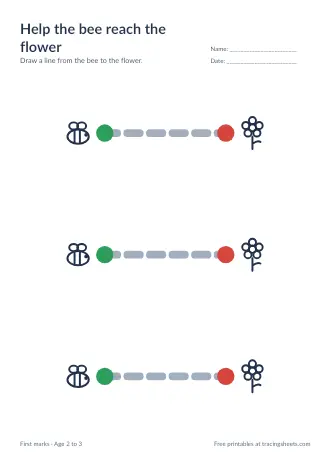 Preview of the help the bee reach the flower worksheet