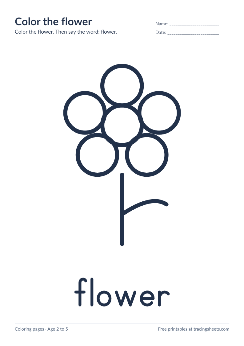 Preview of the printable color the flower worksheet