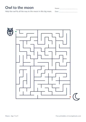 Preview of the owl to the moon worksheet
