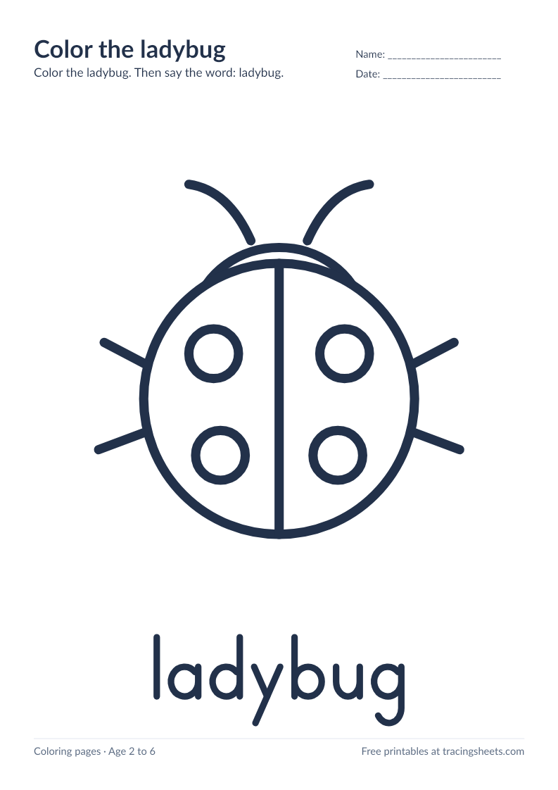 Preview of the printable color the ladybug worksheet