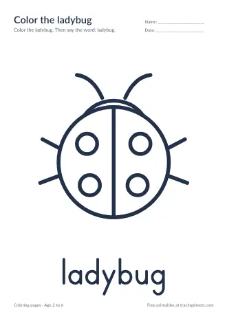 Preview of the color the ladybug worksheet