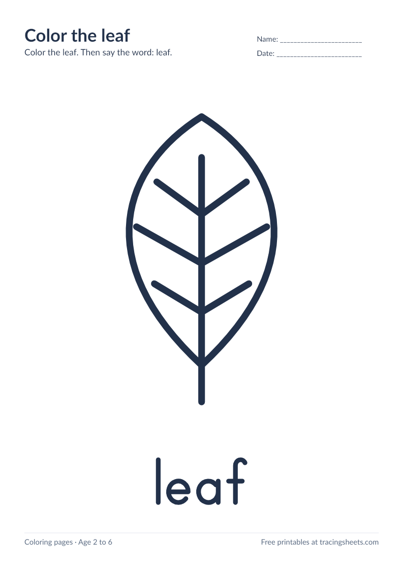Preview of the printable color the leaf worksheet