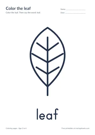 Preview of the color the leaf worksheet
