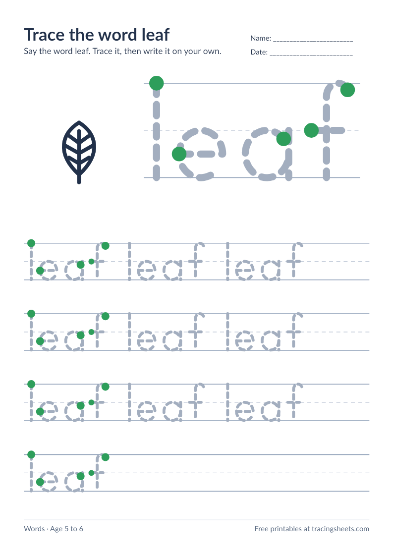 Preview of the printable trace the word leaf worksheet