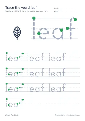 Preview of the trace the word leaf worksheet