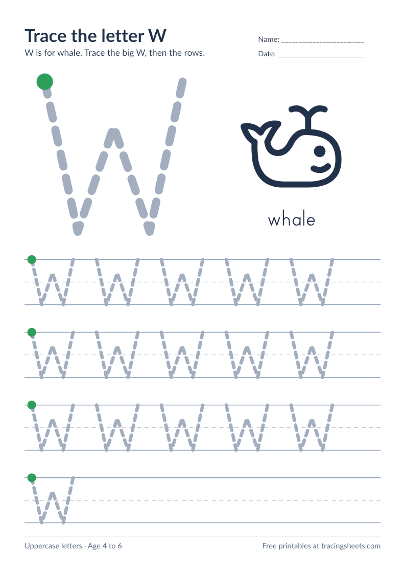 Preview of the printable trace the letter w worksheet