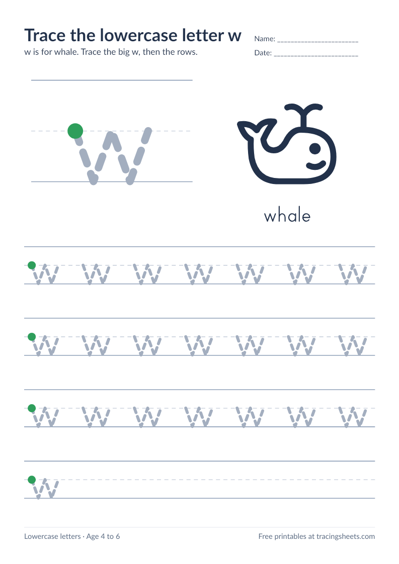 Preview of the printable trace the lowercase letter w worksheet