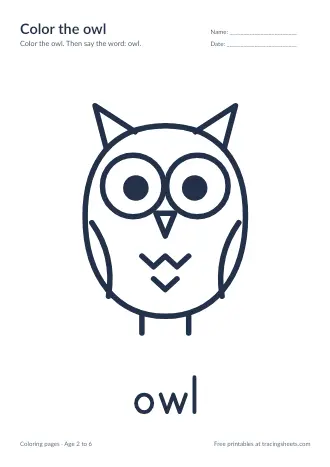 Preview of the color the owl worksheet