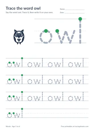 Preview of the trace the word owl worksheet
