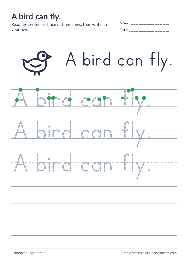 Preview of the printable a bird can fly. worksheet