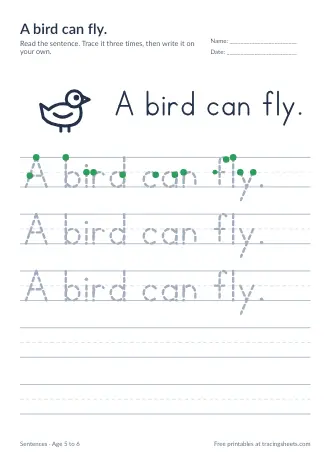 Preview of the a bird can fly. worksheet