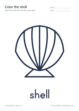 Preview of the color the shell worksheet