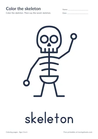 Preview of the color the skeleton worksheet