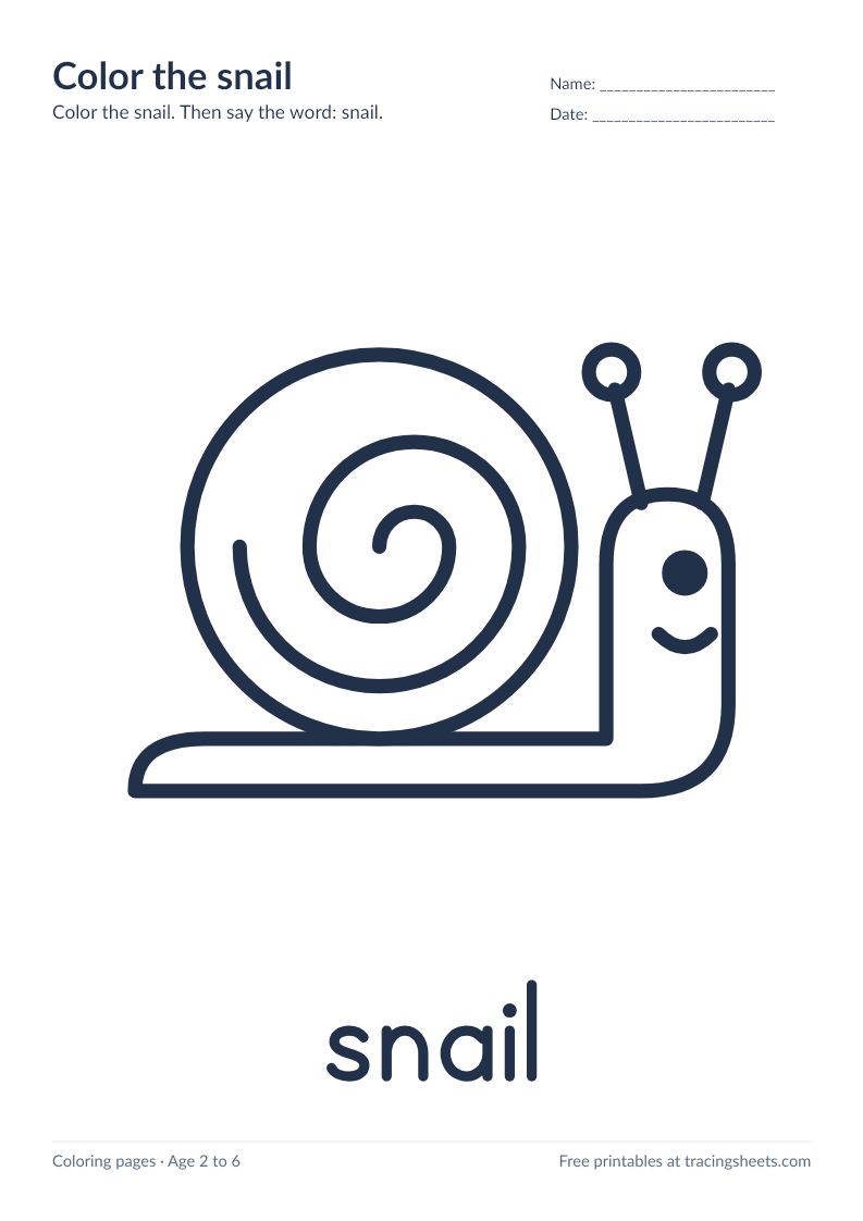 Preview of the printable color the snail worksheet