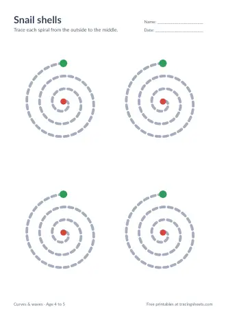 Preview of the snail shells worksheet