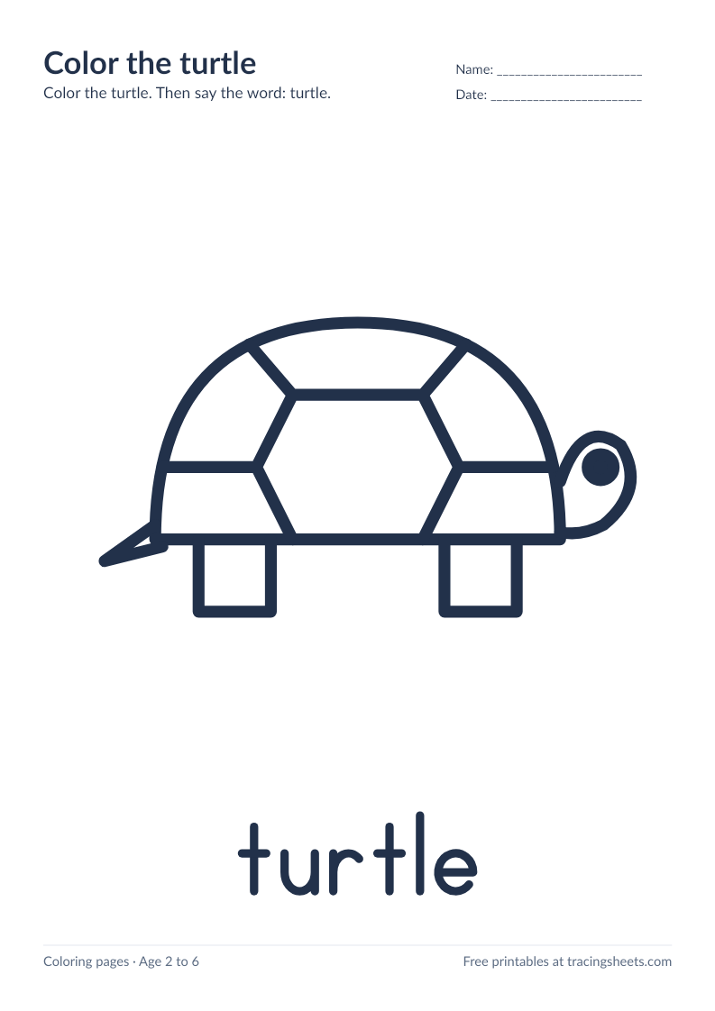 Preview of the printable color the turtle worksheet