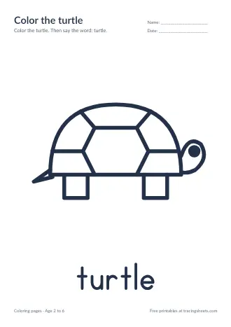 Preview of the color the turtle worksheet